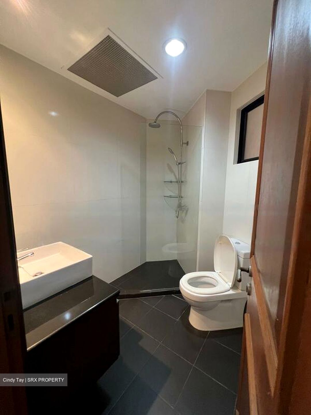 Dover Parkview (D5), Condominium #454552241